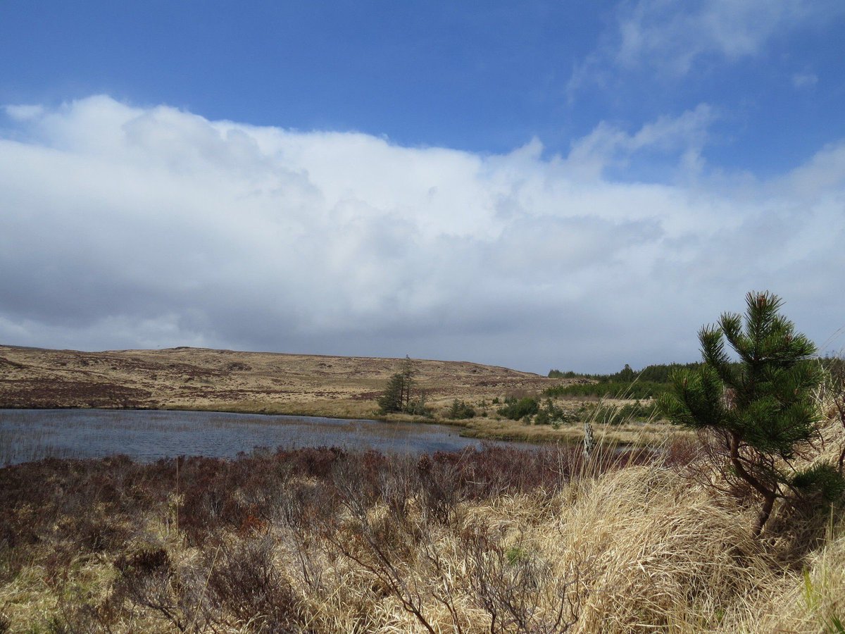 WildGalway's tweet photo. Check out #WalkWednesdays suggestion New Village/Lough Seecon near #Oughterard off the route of the Western Way. Excellent views to the east over Lough Corrib & north towards Cong in Mayo.
โน๏ธ ๐บ๏ธ @CoillteOutdoors
๐ท @AllTrails Katarina O' Dette
#MyCalloftheWild #YourOutdoorStore https://t.co/bHdWbe5WWN