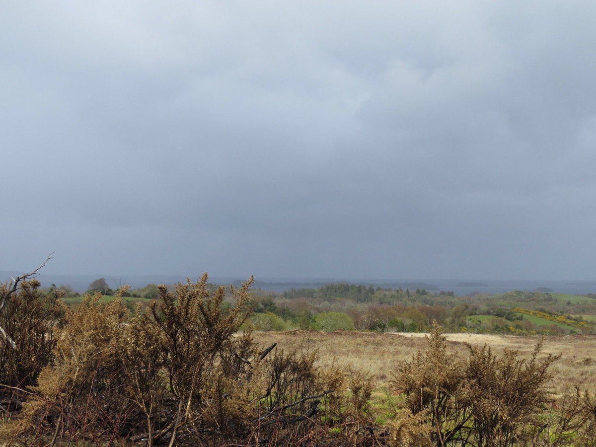 WildGalway's tweet photo. Check out #WalkWednesdays suggestion New Village/Lough Seecon near #Oughterard off the route of the Western Way. Excellent views to the east over Lough Corrib & north towards Cong in Mayo.
โน๏ธ ๐บ๏ธ @CoillteOutdoors
๐ท @AllTrails Katarina O' Dette
#MyCalloftheWild #YourOutdoorStore https://t.co/bHdWbe5WWN