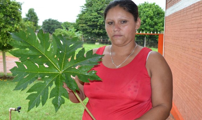 Bandiee's tweet image. Científicos de todo el mundo: No encontramos la cura para el virus

Señora Paraguaya: