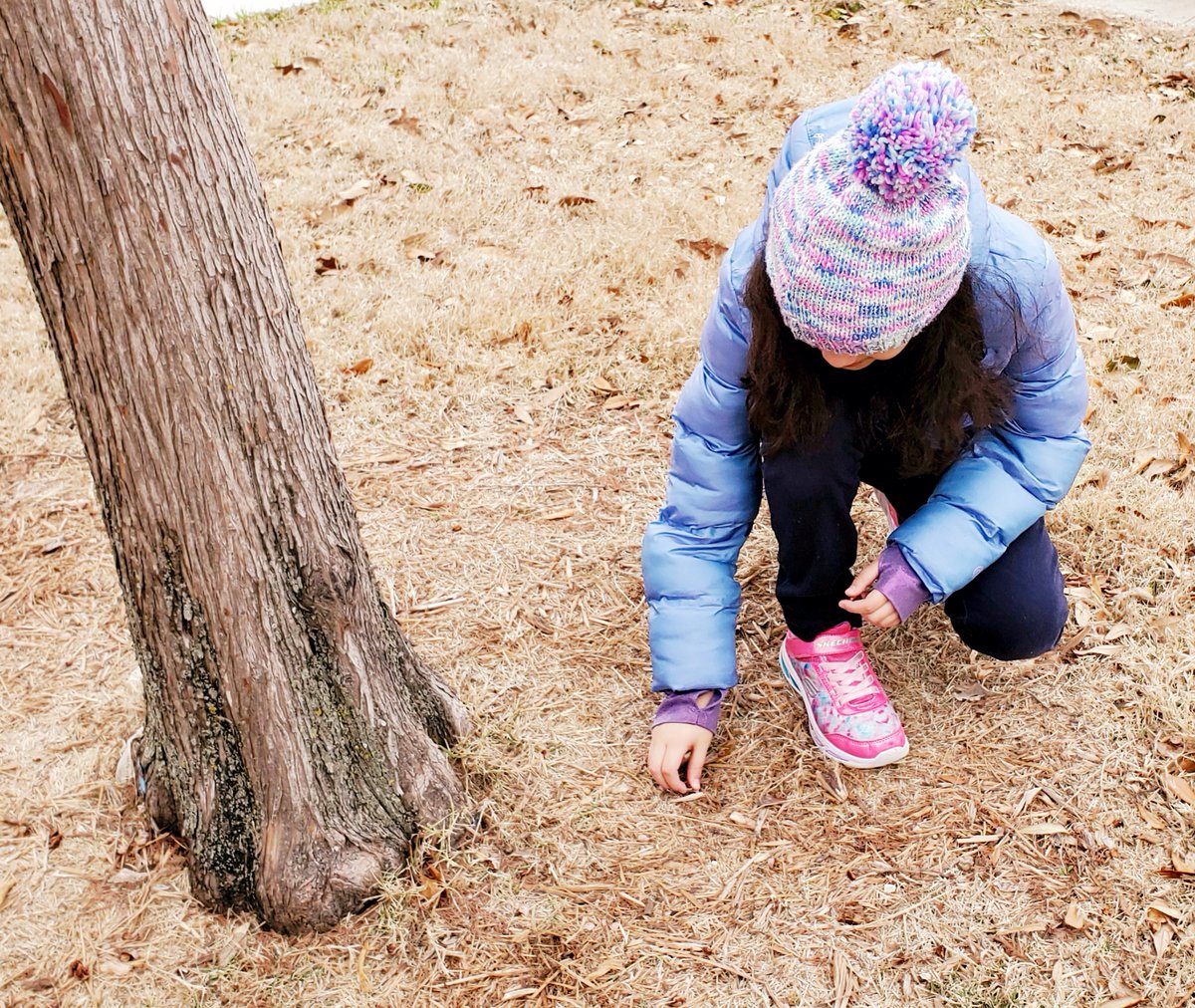 Linda Chavez tweet media