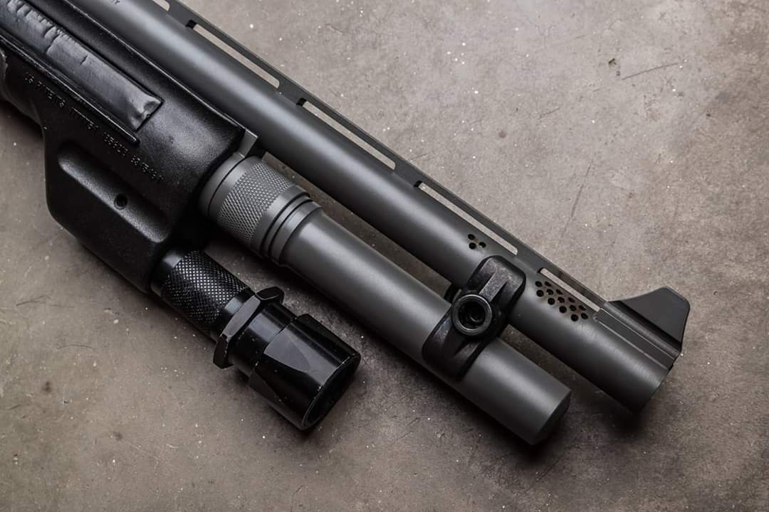 VangComp's tweet image. Workhorse.
#VangComp #2a #freedom #America