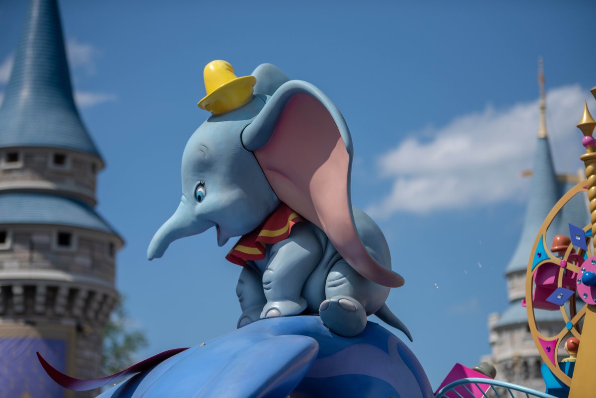 dreams_halifax's tweet photo. Inspiring words from our favourite #pachyderm: 

“Don’t just fly, soar.” -- Dumbo

#DreamsTakeFlightHalifax #DreamsTakeFlight #Halifax https://t.co/F1zaKzySCA