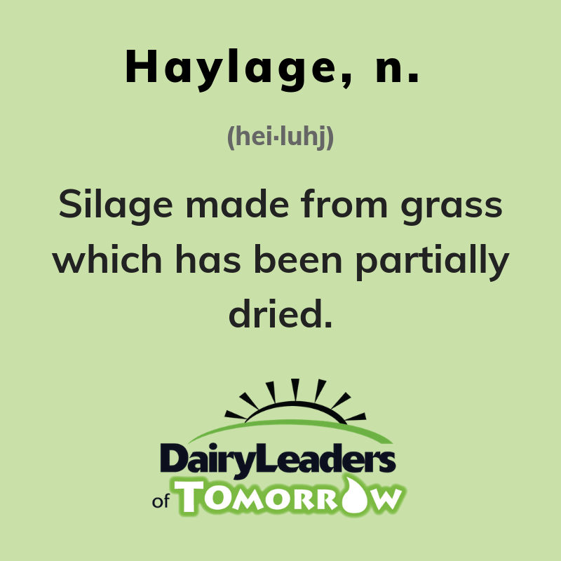 dairyleaders's tweet photo. 🌿 It’s #WordoftheWeekWednesday! This week’s word is haylage! 🌿 https://t.co/KPbxwaq7HB