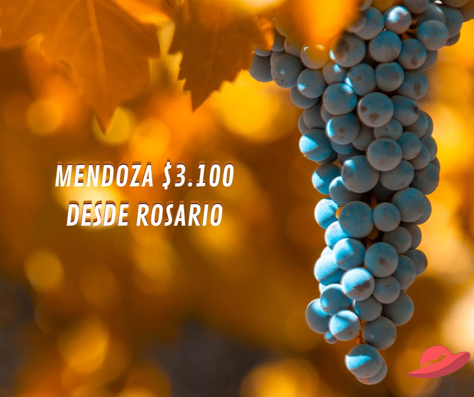 LadyVuelos's tweet photo. Entre montañas y viñedos ⛰️✈️
#Mendoza 🍷 desde #Rosario $3.128
Junio
Ver fechas ---> https://t.co/jTBvufdrUa https://t.co/tLFBd9wjhr