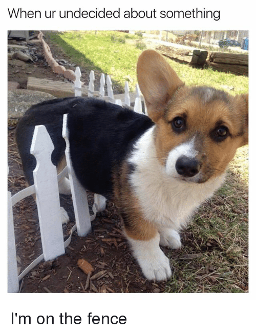 Accurate Fence tweet media