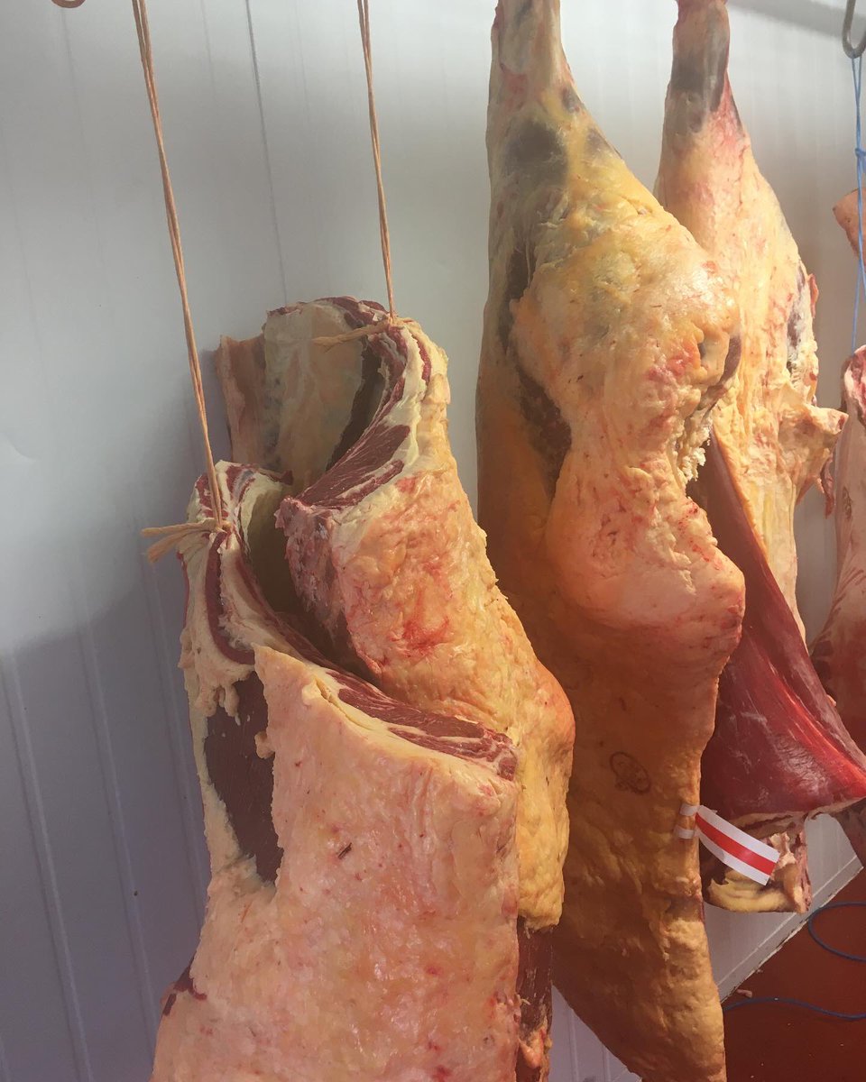 Just in: 5 Year old Dexter heifer
She hasn’t retired from anything; just 5 solid years of lazing about, getting fat and putting down some insane marbling 

Ready in a few weeks