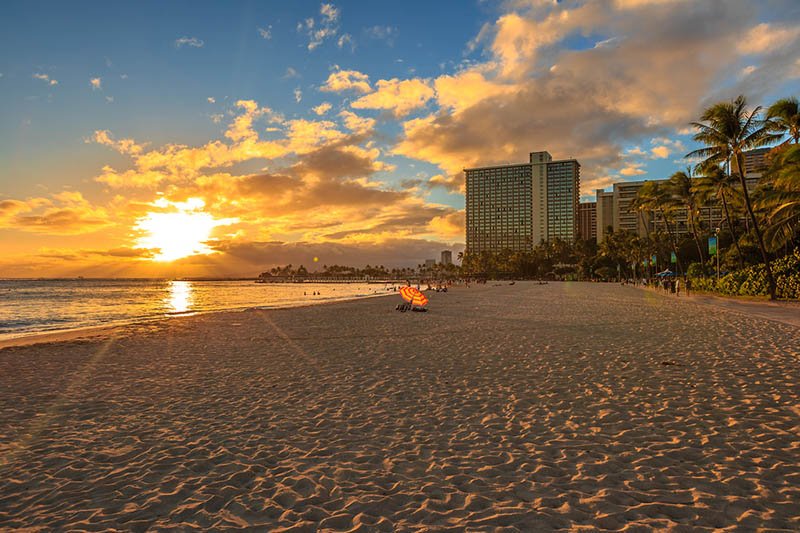 ClikShuttle's tweet photo. Avoid the trouble of driving your own transportation when going to Ko Olina Resort. Book our shuttle service today to travel there safely and comfortably.
Reserve your transportation today!
☎️ (808) 740-0900.
https://t.co/JI5dSMt4L5
#clikshuttle #hawaiishuttleservices https://t.co/BGvfdMHFKP