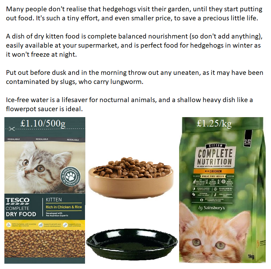 hedgehog cat biscuits