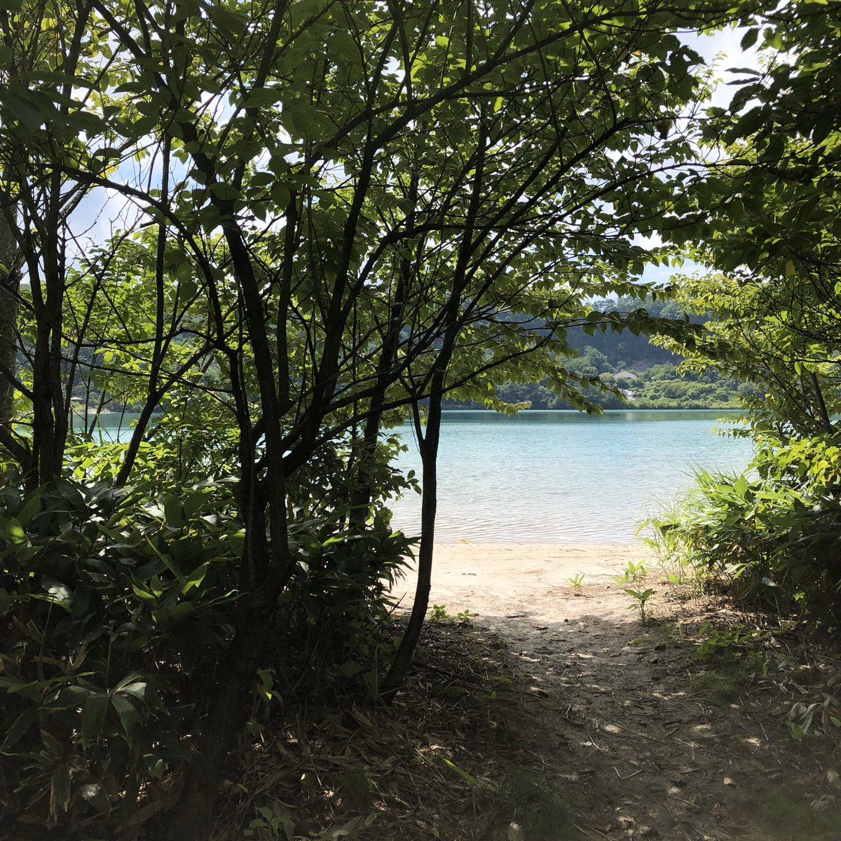 KnitSnow's tweet photo. Knit＆SNowの定期ツイート、今回は鳴子温泉の近くにある潟沼です。緑の小径と緑の水面が美しい。 
＃おいでよ宮城　＃行くぜ東北　＃鳴子温泉　＃潟沼　＃カルデラ湖　
https://t.co/lL5xDjCa2Y