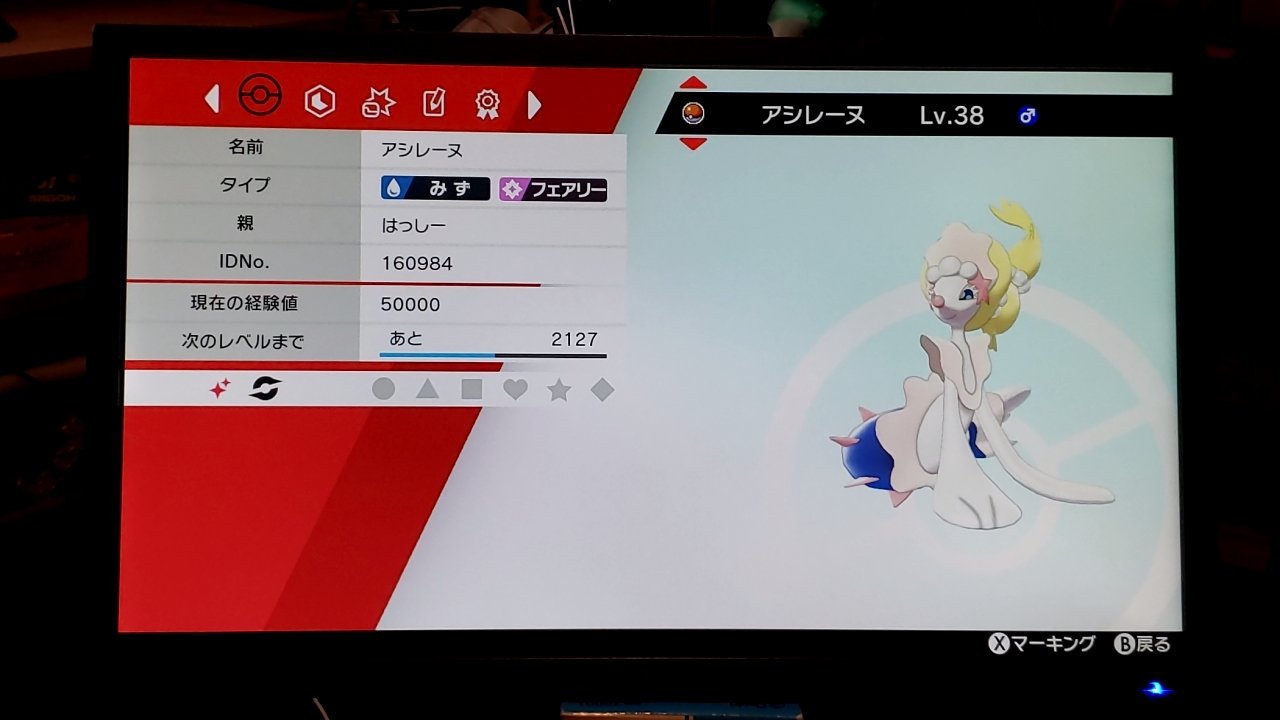 はっしー 剣盾初色違いはアシマリ 勢いでアシレーヌにしたけどね T Co E8zbcznsiy Twitter はっしー 剣盾初色違いはアシマリ 勢いでアシレーヌにしたけどね T Co E8zbcznsiy Twitter