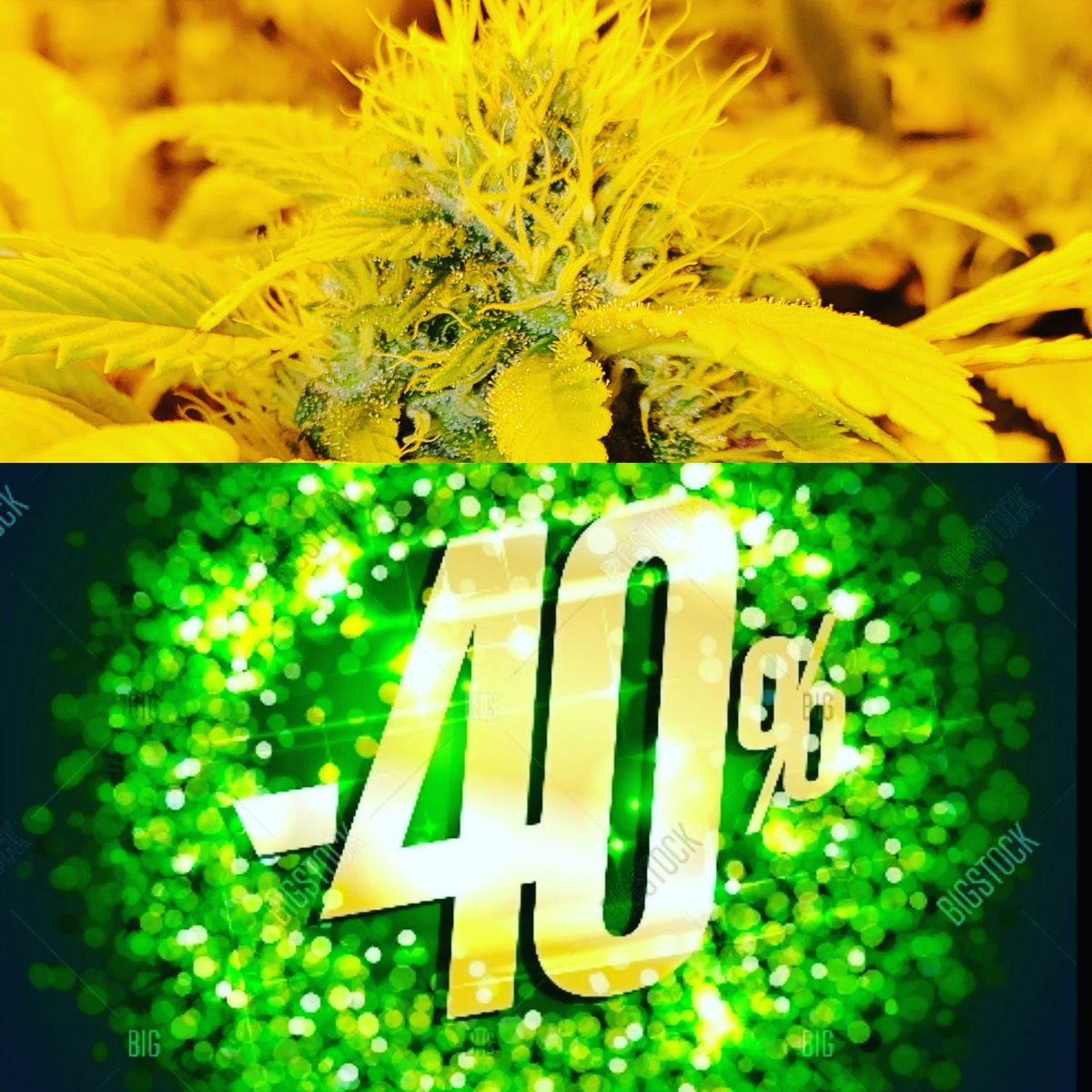 district_rose's tweet photo. Moving sale 40% off.
Rose District Dispensary 
120 E. El Paso st. Broken Arrow 
(918)259-3132

#rosedistrictdispensary 
#rosedistrict 
#rosedistrictba 
#medicalcannabispatient 
#medicalcannabis 
#medicalmarijuanacard 
#medicalmarijuana 
#cannabis https://t.co/WVZiUqE5Lp