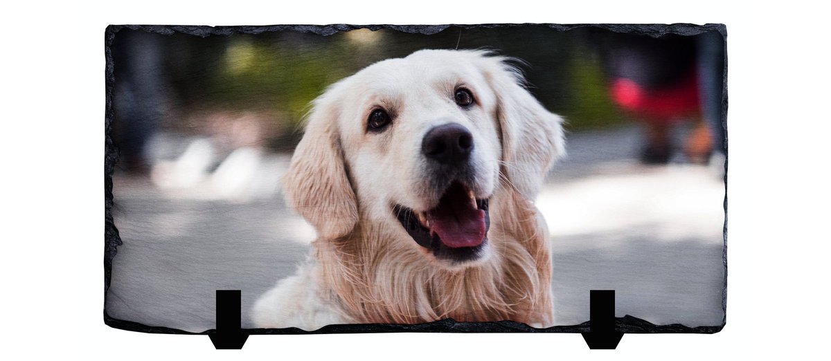 KittyKonnect tweet media