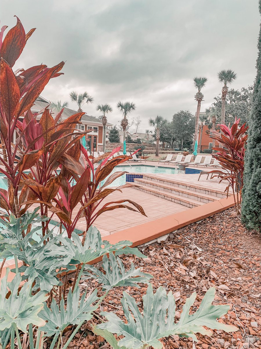 West10Tally's tweet photo. Rainy days got you feeling down? 🥺 March Madness is here to get you in better spirits! 💚 Renew by Mar. 1st to be entered to win our biggest raffle yet! ⚡️ #fsu #noles #famu #tcc https://t.co/HNLfS3GjQk