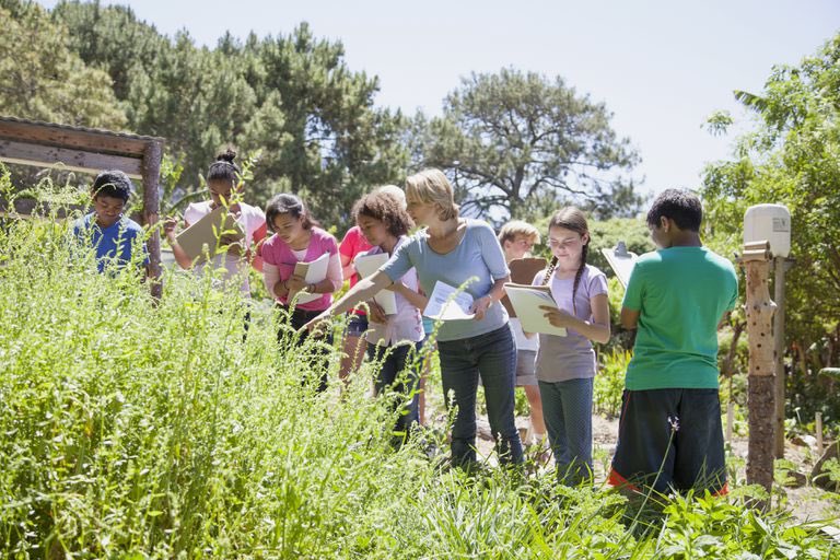 RachelK57165692's tweet photo. This is an interesting take of a classroom and I think it’s progressivism! A teacher led activity outdoors, learning about plants and wildlife. The students are also able to do their own thing and write observations on their own. #EDUC300 #08Sp2020 https://t.co/Ai7CF6ie2t
