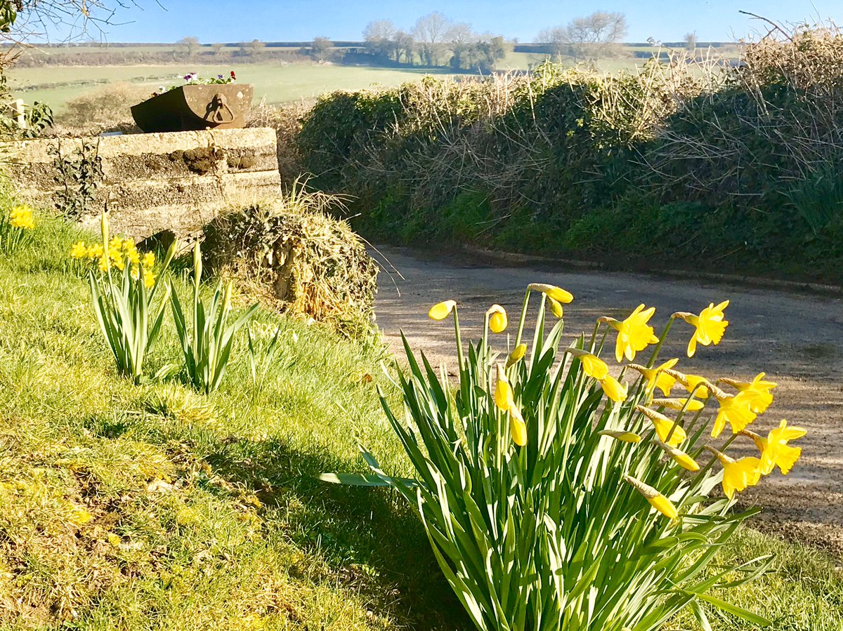 PoleRueFarm's tweet photo. Some dates are still available in March for a lovely spring getaway in Somerset, please see https://t.co/eDGINAD6y9 for bookings🌷🦙😊🥂
#springgetaway #somersetcottage #Blackdownhills #daffodils #llamas https://t.co/yRZDHqMsVz