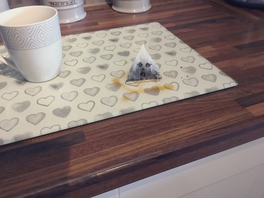PussPussTopCat's tweet photo. #SueYoureShoutingAtTea @YorkshireTea This Tea bag was so traumatised he cried a tea river ...#comedydog 😂 https://t.co/sf7QPqeR9N
