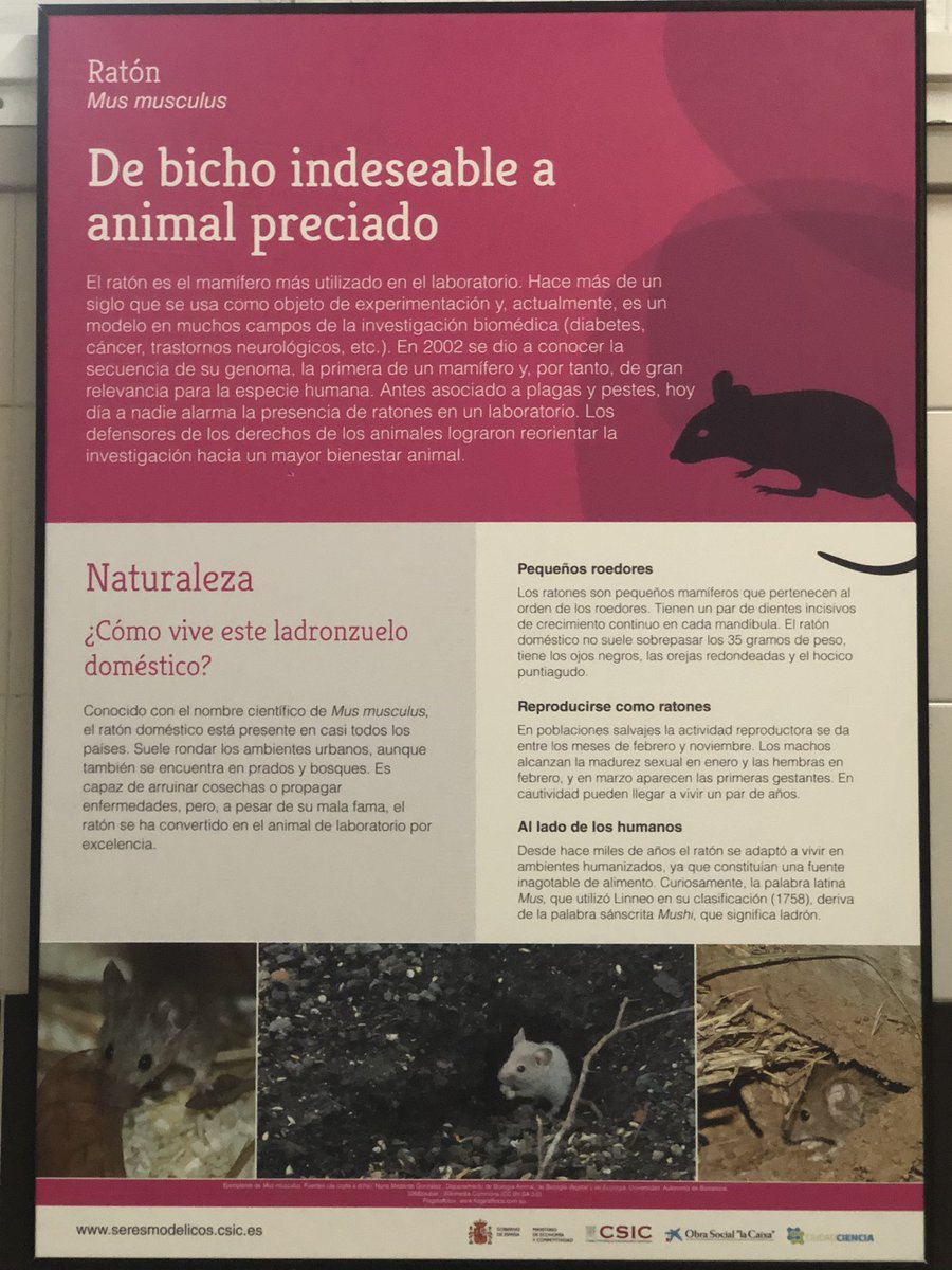 IESArcipreste's tweet photo. https://t.co/qqi8FF6iX9