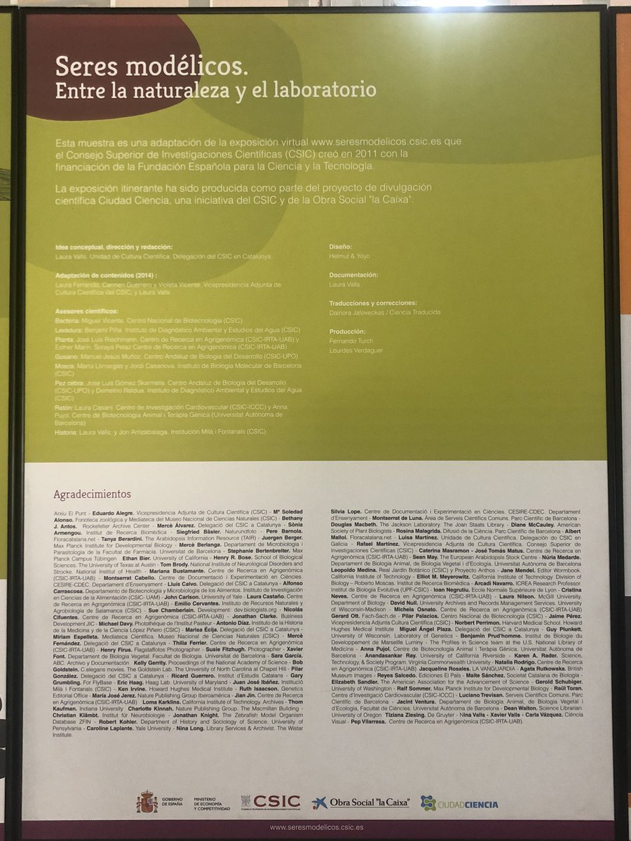 IESArcipreste's tweet photo. Gracias, @CSIC @CSICdivulga @DPE_CSIC  por la exposición “Seres modélicos” que estamos disfrutando en el @IESArcipreste gracias al programa #CienciaenelBarrio https://t.co/wIuRMRNH1E