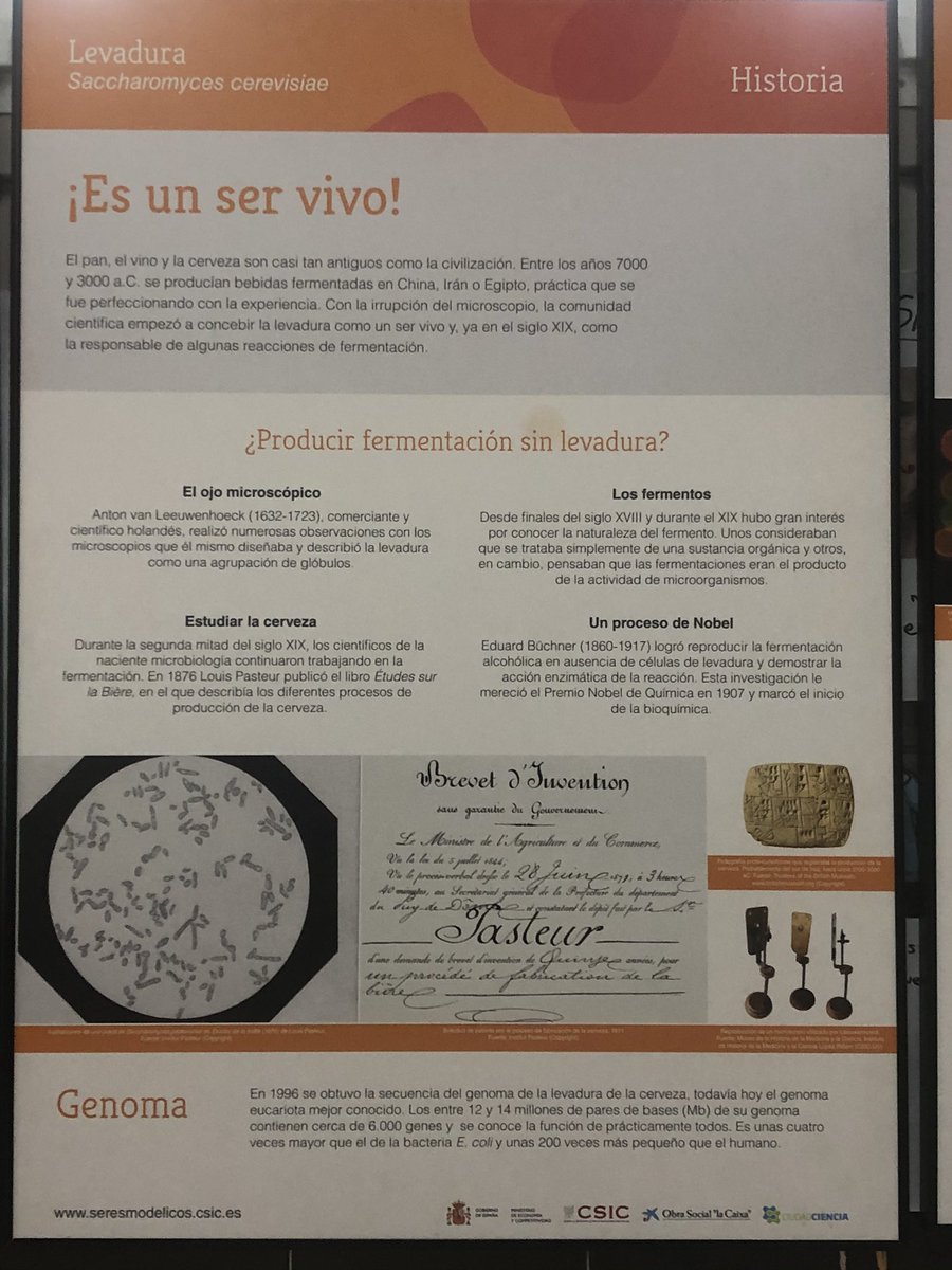 IESArcipreste's tweet photo. Gracias, @CSIC @CSICdivulga @DPE_CSIC  por la exposición “Seres modélicos” que estamos disfrutando en el @IESArcipreste gracias al programa #CienciaenelBarrio https://t.co/wIuRMRNH1E