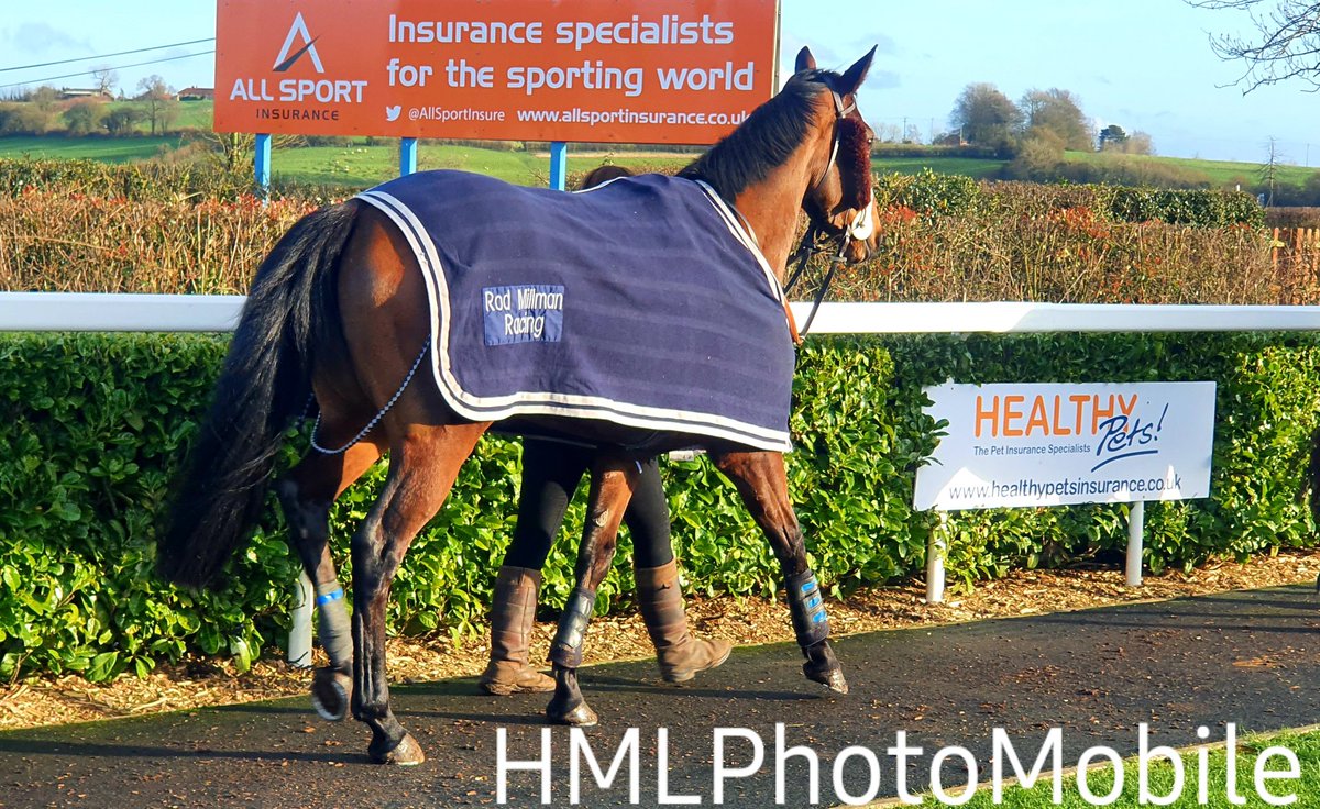 KittymoreStud's tweet image. A great day at Wincanton with Puzzle Cache today.
Let&apos;s hope the handicapper rethinks his harsh mark on her after that race.
#PuzzleCache
#Racehorse
#KittymoreRacing