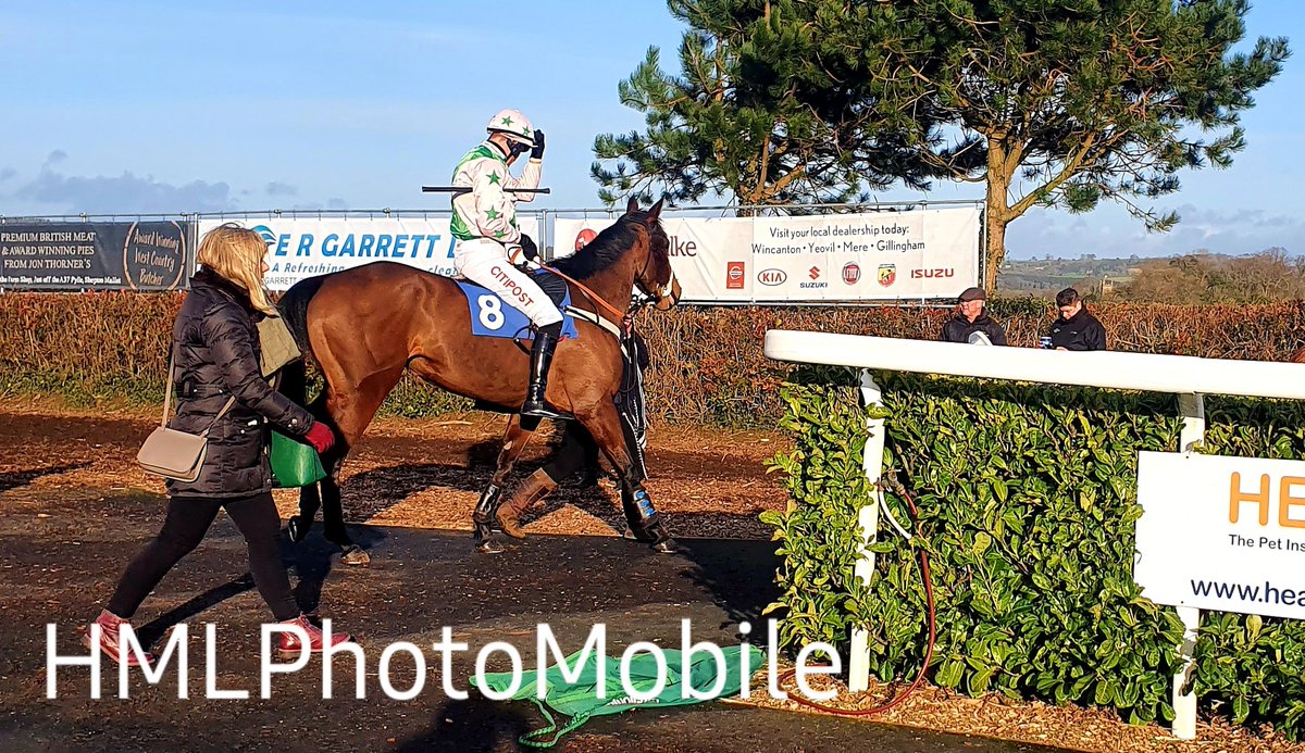 KittymoreStud's tweet image. A great day at Wincanton with Puzzle Cache today.
Let&apos;s hope the handicapper rethinks his harsh mark on her after that race.
#PuzzleCache
#Racehorse
#KittymoreRacing