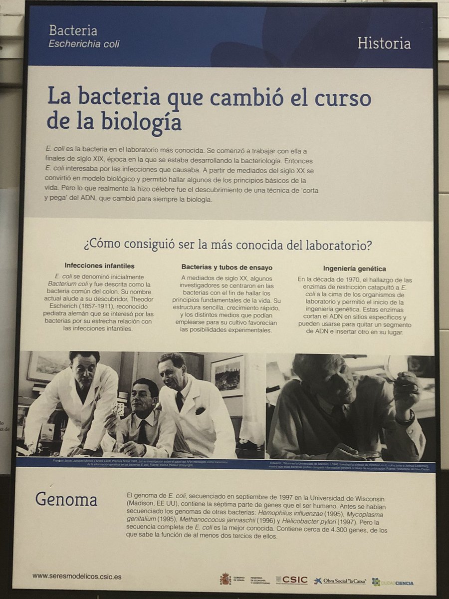 IESArcipreste's tweet photo. https://t.co/6vlh3nPICt