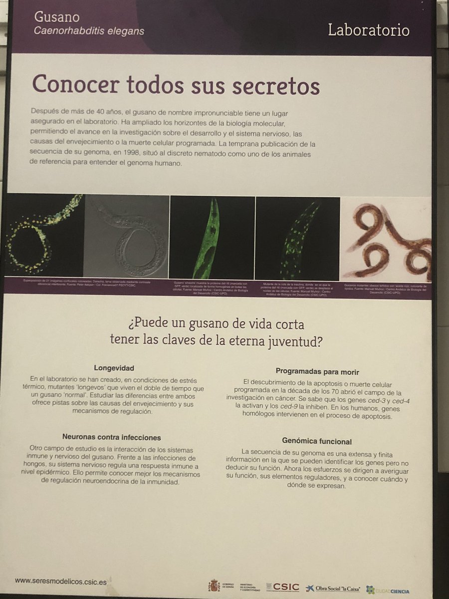 IESArcipreste's tweet photo. https://t.co/kg9aGcN2fb