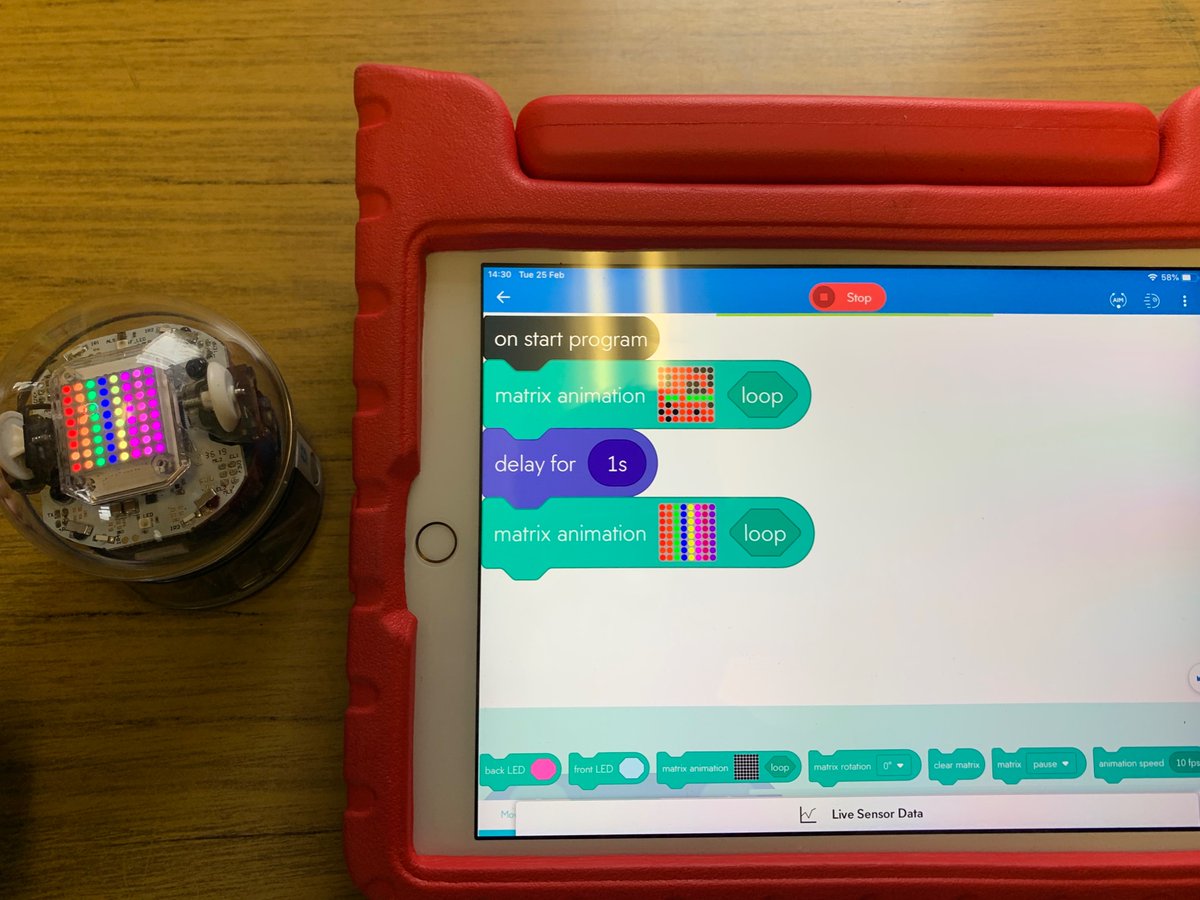 TeachingCave's tweet image. Some lovely Shared Ed coding days And Staff Training with @stjohnsgilford @toreaghps @millquarterps @GrogganPrimary 

Thanks for having us.
@CASEshared #sharededucation #nischools @CCEA_info #coding @mums_ni #belfast #AppleEDUchat @Sphero