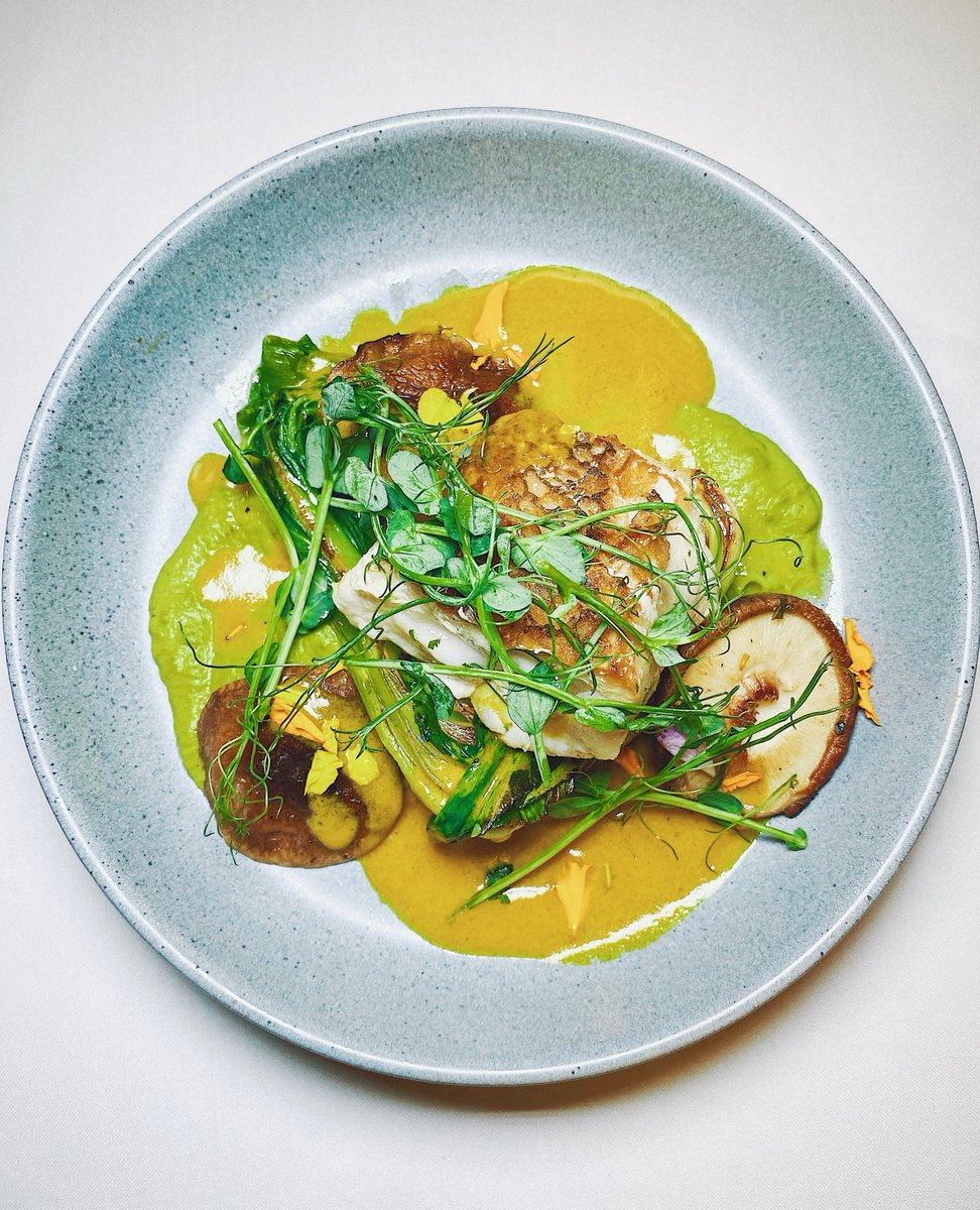 Crisp, fresh, and flavorful.  Every bite is perfect.