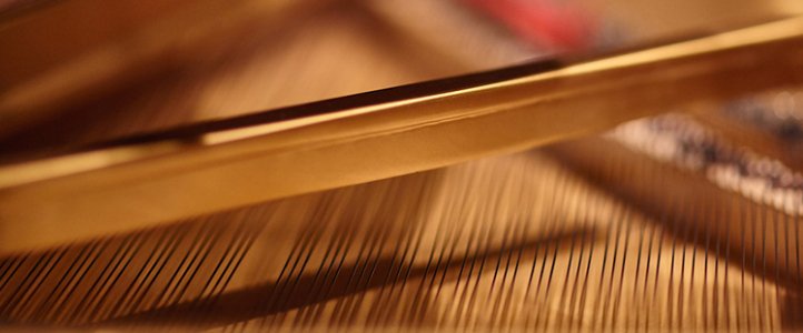 UWArtSci's tweet photo. Interested in classical music? Three faculty members, Craig Sheppard, Sæunn Thorsteinsdóttir, and Rachel Lee Priday, will perform the complete Beethoven piano trio cycle on Feb. 29: https://t.co/TXP3t6F6Dy https://t.co/D47AI72q4I