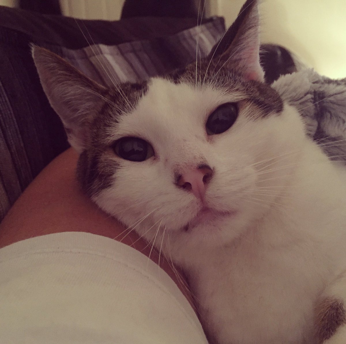 Day 1 of my life in 7 pictures
Rules: no words, no people 
Challenge someone new everyday
I was challenged by <a href="/denise_hone/">Denise Hone</a>  Today I challenge <a href="/OT_Soph/">Sophie OT</a>