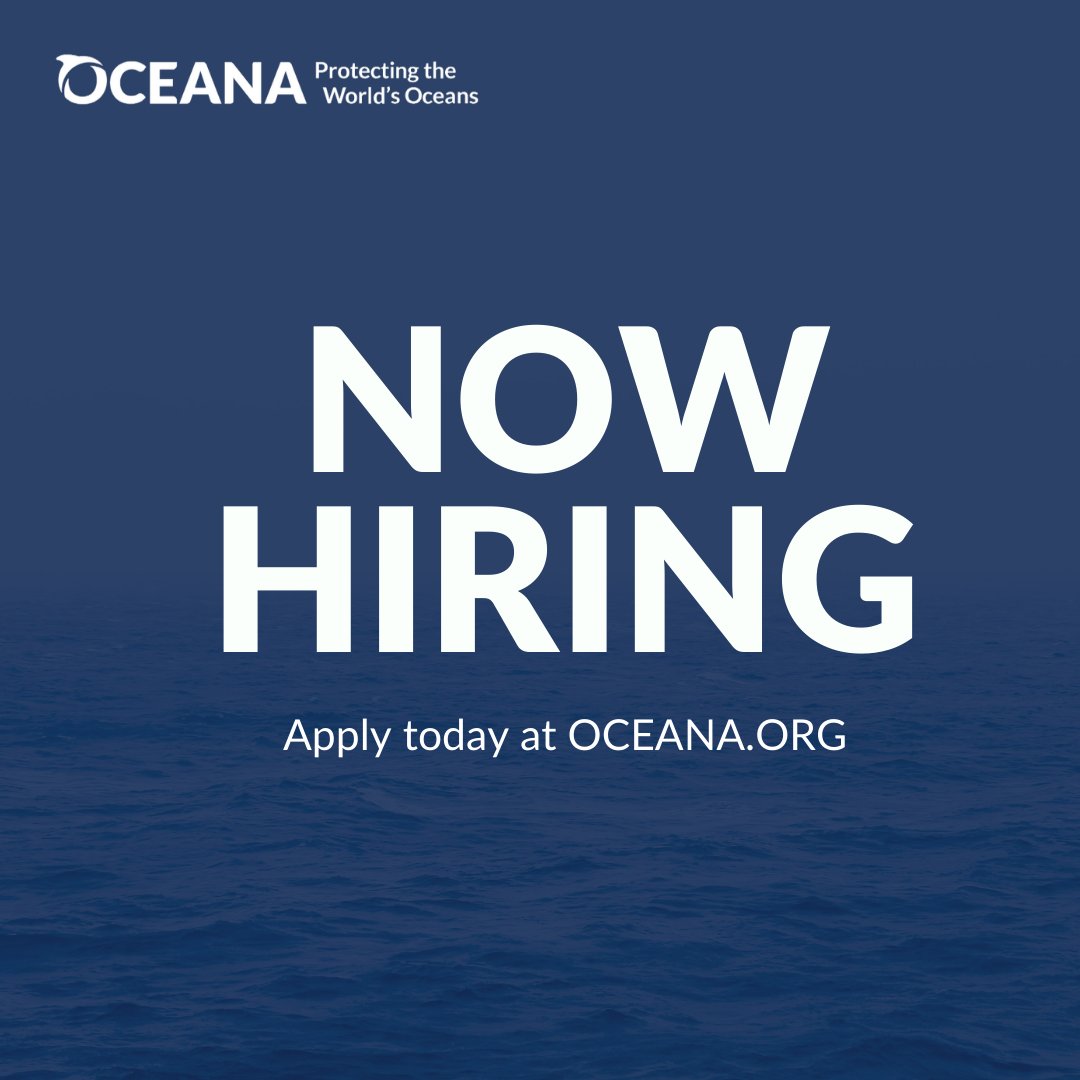 Nowhiring Twitter Search