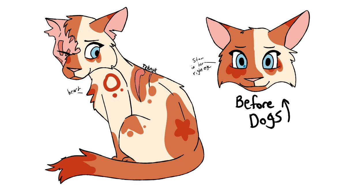 Teknyk1's tweet image. Best couple in Warriors 10/10 #warriorcats #cloudtail #brightheart