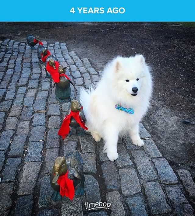 Harv and his little besties