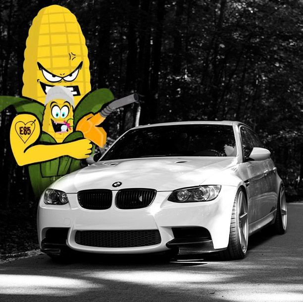 ECSTuning's tweet photo. Advanced Fuel Dynamics is now at ECS! Don't mess with a n g r y c o r n.
https://t.co/k5D98TcTdx
#ethhead #E85 #e85army #advancedfueldynamics #bmw #bmwmotorsport #bmwusa #ultimatedrivingmachine https://t.co/jZU9INxluw