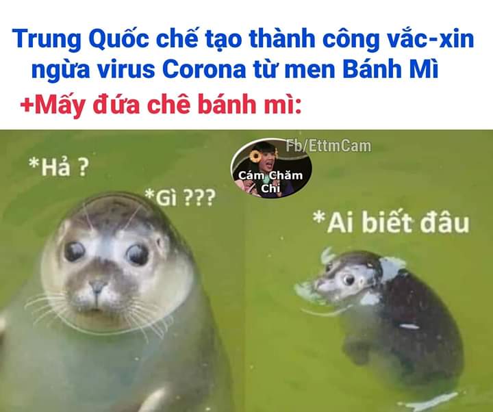 07Duon's tweet photo. #YTN_사과해 mọi người đăng vài ảnh hài lên cho anh em đỡ buồn ngủ đi nào!! #베트남을존중해  chúng ta là người Việt Nam!! #KoreansApologizetoVietnam  fitting!! https://t.co/UfkjQxwGp6