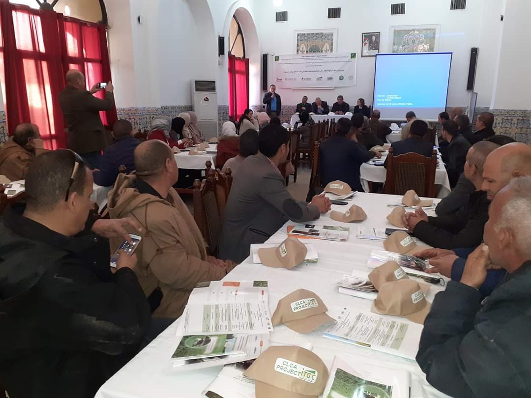 AlgeriaClca's tweet photo. Exchange workshop with CLCA project partners in the M'sila region around fodder alternatives for good livestock management in #conservationagriculture . #CLCAproject #Algeria #ITGC #ICARDA #IFAD https://t.co/ejuvGJx5lZ
