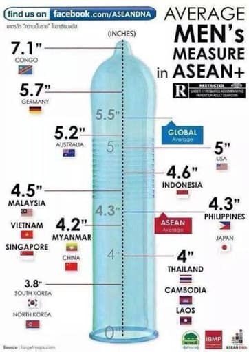 vịt tweet media
