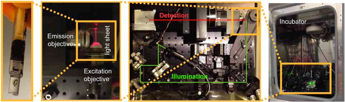 openspim's tweet photo. Oyler-Yaniv et al. monitor decision strategies of cells to prevent viral spread using an #OpenSPIM #lightsheet microscope with mSPIM and filter wheel inside an incubator.
https://t.co/lDG7xxaXTq https://t.co/ym8NVKJIav