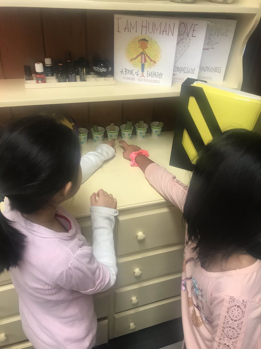 MsDayGrade1's tweet photo. Learning about absorption, making observations and recording our findings for Science this week! https://t.co/HvTnRNeJRf