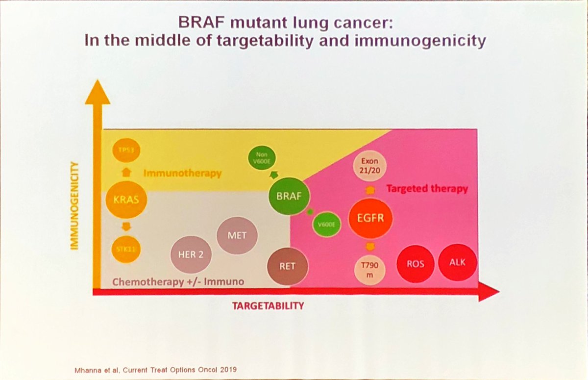 lara_pijuan's tweet image. Dr @Tony_Calles como invitado especial en  #CodingLungCancer serie #BRAF en #CPCNP nos cuenta si hay papel de la #inmunoterapia más allá del tratamiento dirigido. #LCSM #Biomarkers