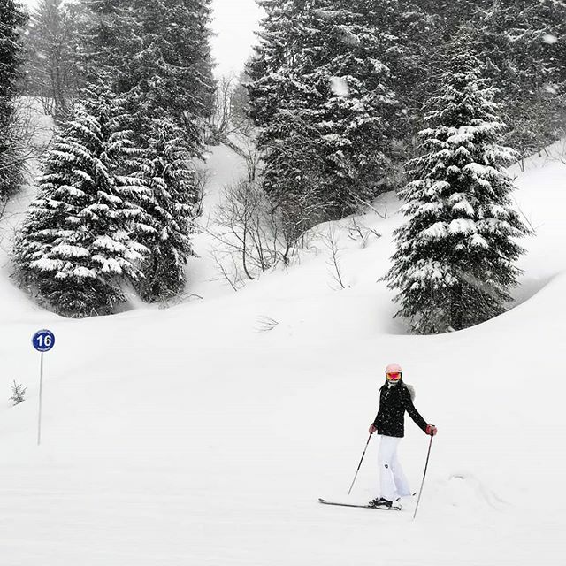 Ski ski skiii ⛷️