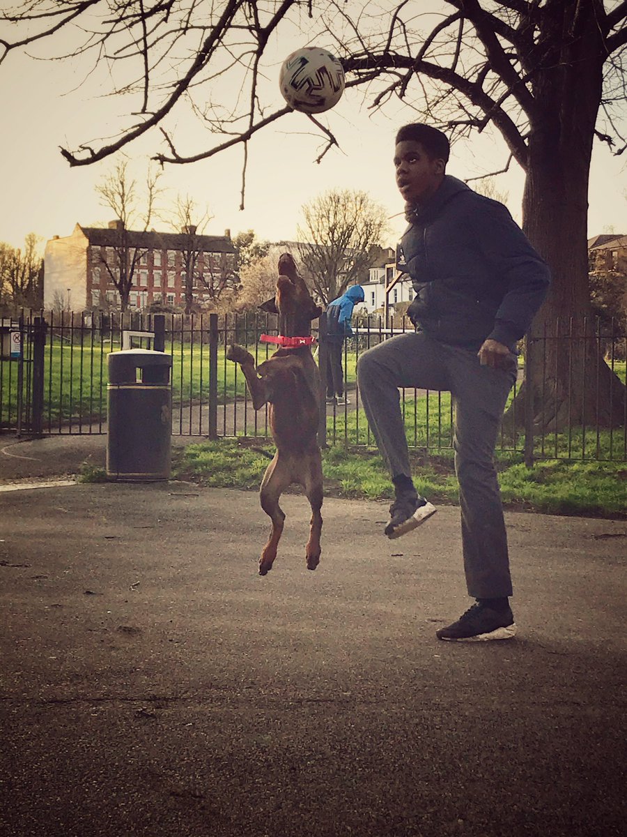 HeardinLondon 💚 tweet media