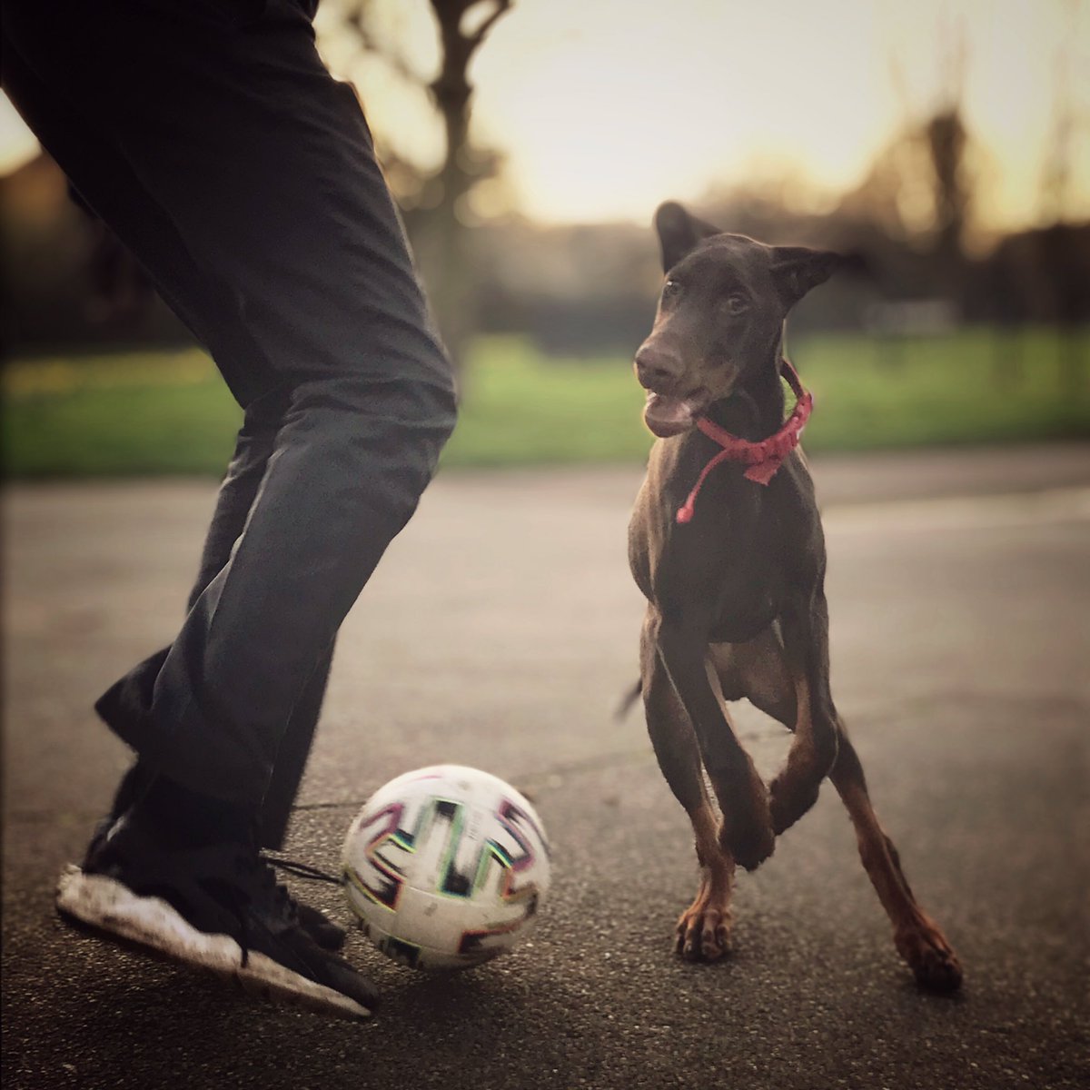 HeardinLondon 💚 tweet media