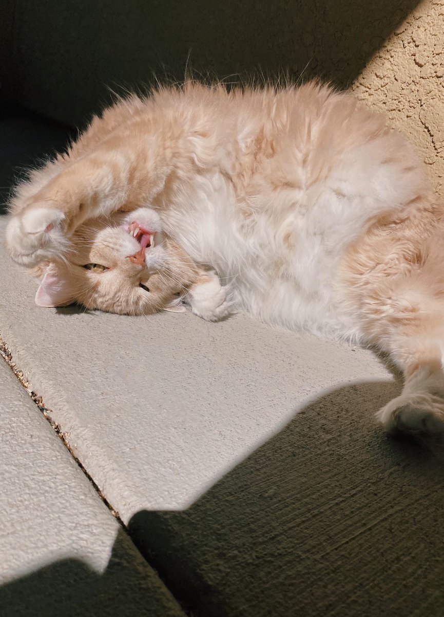 her daily sunbathe