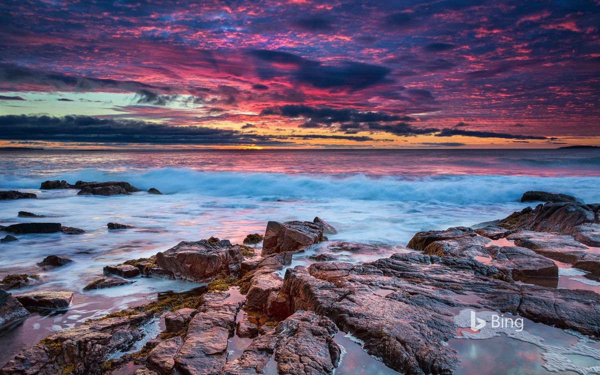 bing photo