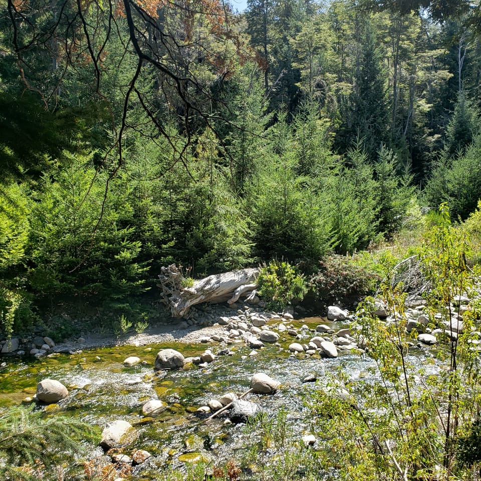 Ecos de un fin de semana de #carnaval #increible 🌞🌞🌞🤙🤙🤙 #riobonito #VillaLaAngostura🏖🏖🏖 #ManzanoResort #Montañaresort #Verano #Patagonia