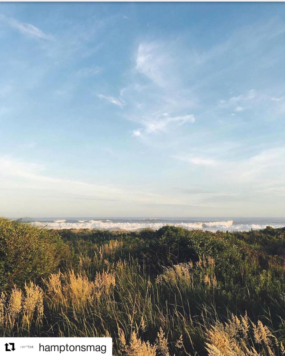 ZEDaerospace's tweet photo. Hamptons - Soft summer breeze, ftw.
π: @hamptonsmag
π·: @jshi809
#Hamptons #flyZED #DiscoverZED https://t.co/5Wcgp5gKKO