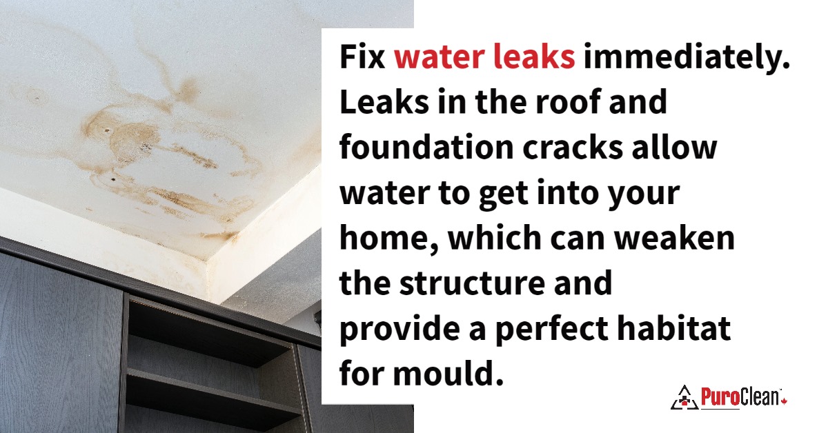 Fix water leaks immediately. Leaks in the roof and foundation cracks allow water to get into your home, which can weaken the structure and provide a perfect habitat for mould.