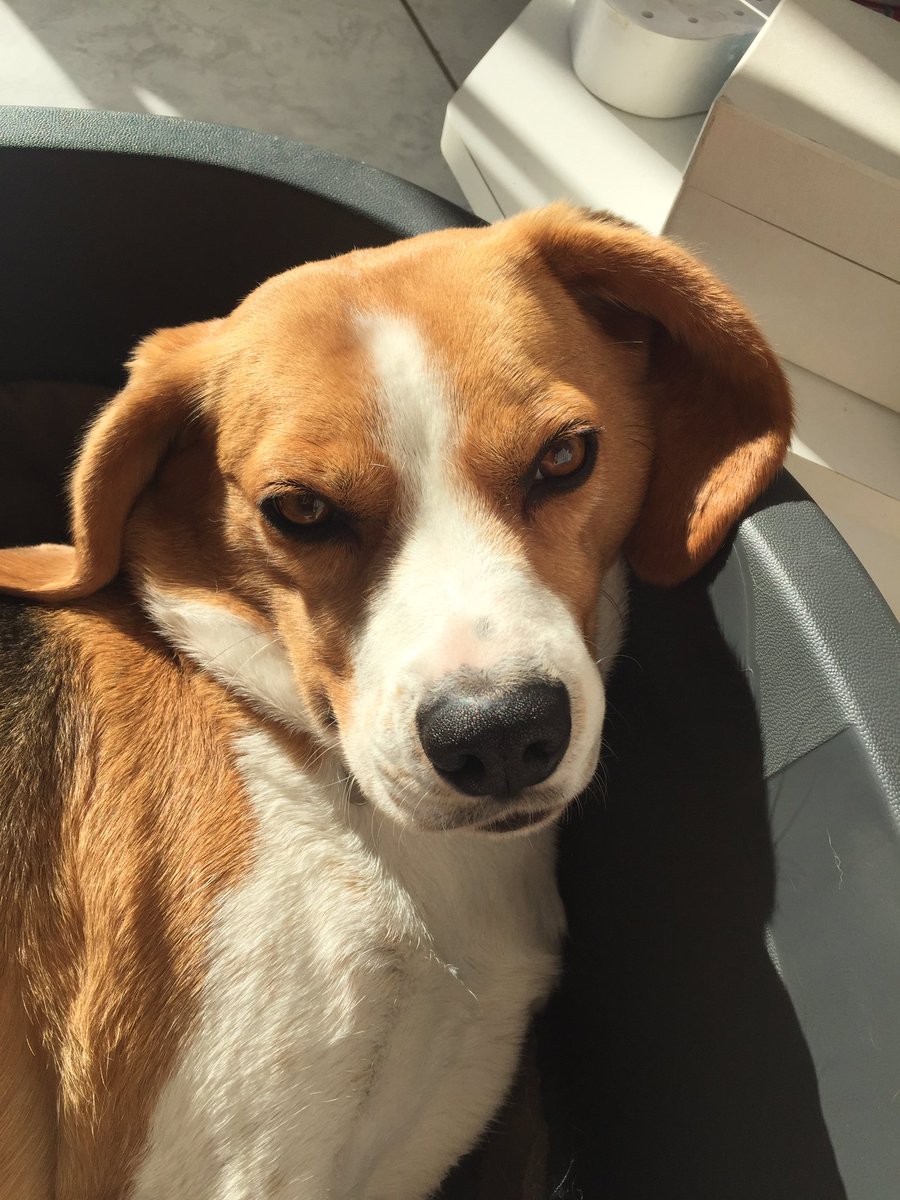 No I’m not getting up Mum